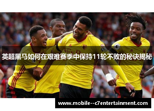 英超黑马如何在艰难赛季中保持11轮不败的秘诀揭秘 英超黑马如何在艰难赛季中保持11轮不败的秘诀揭秘