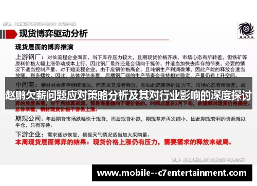 赵鹏欠薪问题应对策略分析及其对行业影响的深度探讨 赵鹏欠薪问题应对策略分析及其对行业影响的深度探讨