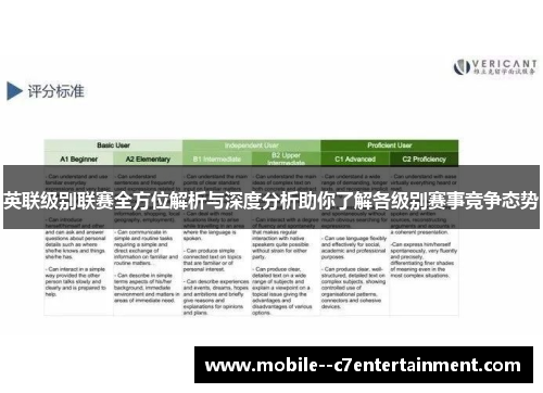 英联级别联赛全方位解析与深度分析助你了解各级别赛事竞争态势 英联级别联赛全方位解析与深度分析助你了解各级别赛事竞争态势