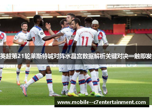 英超第21轮莱斯特城对阵水晶宫数据解析关键对决一触即发