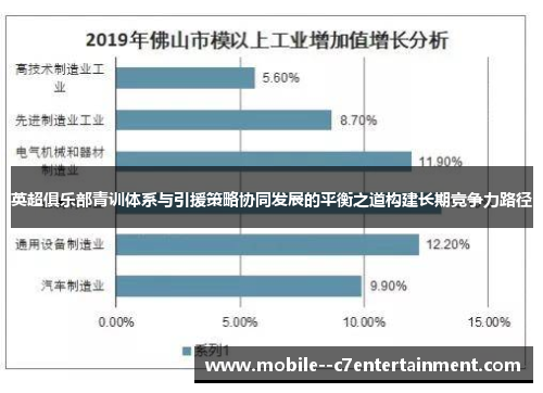 英超俱乐部青训体系与引援策略协同发展的平衡之道构建长期竞争力路径 英超俱乐部青训体系与引援策略协同发展的平衡之道构建长期竞争力路径