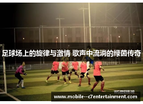 足球场上的旋律与激情 歌声中流淌的绿茵传奇
