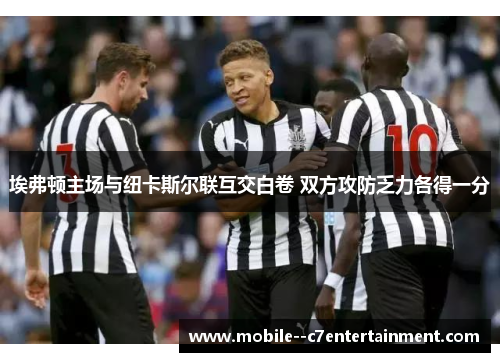 埃弗顿主场与纽卡斯尔联互交白卷 双方攻防乏力各得一分